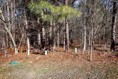 357 Garvey Circle, Columbia, SC 29203 - Photo 7