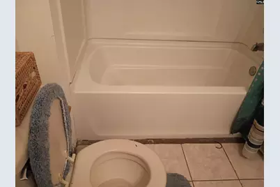 1310 Blue Ridge Terrace, Columbia, SC 29203 - Photo 73