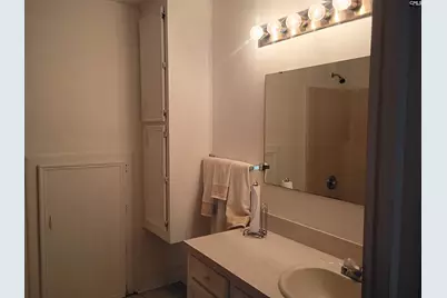 1310 Blue Ridge Terrace, Columbia, SC 29203 - Photo 71