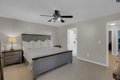 221 Foxport Drive, Chapin, SC 29036 - Photo 19