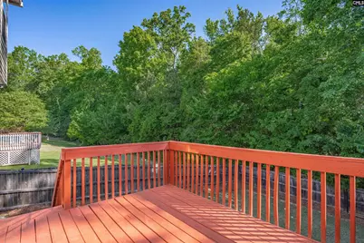 221 Foxport Drive, Chapin, SC 29036 - Photo 33