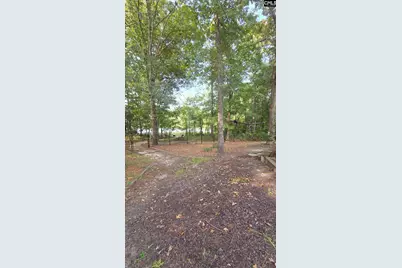 718 Sparrow Hawk Court, Blythewood, SC 29016 - Photo 45