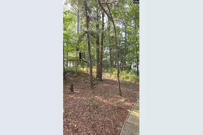 718 Sparrow Hawk Court, Blythewood, SC 29016 - Photo 43