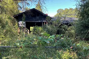 66 Swan Ln, Bamberg, SC 29003 - Photo 13
