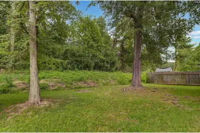 228 Barger Circle, Irmo, SC 29063 - Photo 27