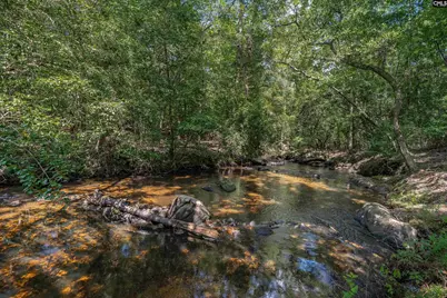 137 Brooklet Drive, Lexington, SC 29072 - Photo 39