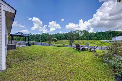 243 Mesa Verde Drive, Lexington, SC 29073 - Photo 33