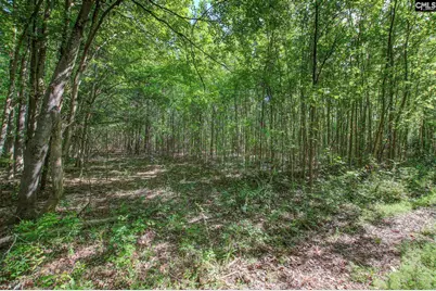 Tbd New Meadow Drive, Reevesville, SC 29471 - Photo 3