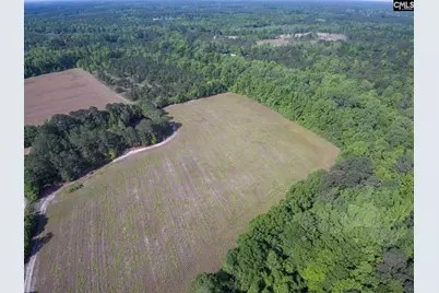 Tbd New Meadow Drive, Reevesville, SC 29471 - Photo 7