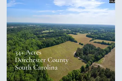 Tbd New Meadow Drive, Reevesville, SC 29471 - Photo 1
