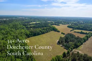 Tbd New Meadow Dr, Reevesville, SC 29471 - Photo 1