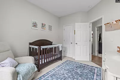 153 Summer Pines Drive, Blythewood, SC 29016 - Photo 23