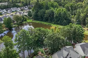 153 Summer Pines Drive, Blythewood, SC 29016 - Photo 33