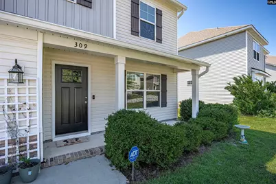 309 Meadow Saffron Drive, Lexington, SC 29073 - Photo 3