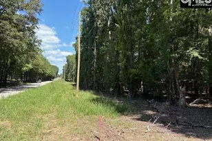 0 Wildwood Rd Ext, Leesville, SC 29070 - Photo 1