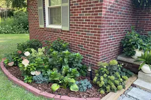 3411 Palmetto Ave, Columbia, SC 29203 - Photo 3