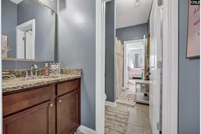 234 Indigo Hills Drive, Chapin, SC 29036 - Photo 41