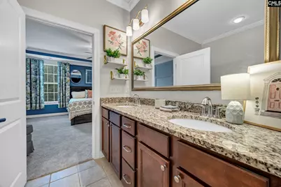 234 Indigo Hills Drive, Chapin, SC 29036 - Photo 23