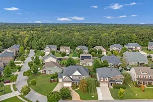 234 Indigo Hills Dr, Chapin, SC 29036 - Photo 53