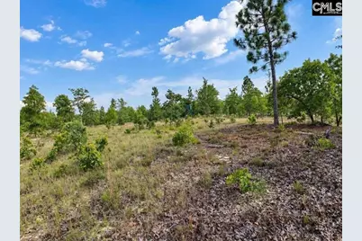 0 Lot 1 Old Georgetown Road W, Cassatt, SC 29032 - Photo 19