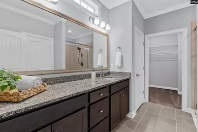 432 Sapphire Lane, Chapin, SC 29036 - Photo 23