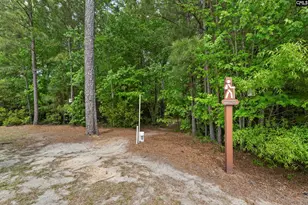 432 Sapphire Ln, Chapin, SC 29036 - Photo 55
