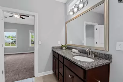 432 Sapphire Lane, Chapin, SC 29036 - Photo 33