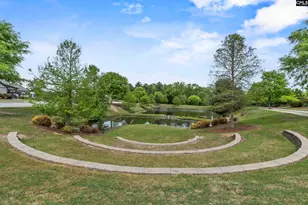 432 Sapphire Ln, Chapin, SC 29036 - Photo 57