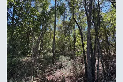 Saint Matthews Church Road, Sumter, SC 29153 - Photo 21