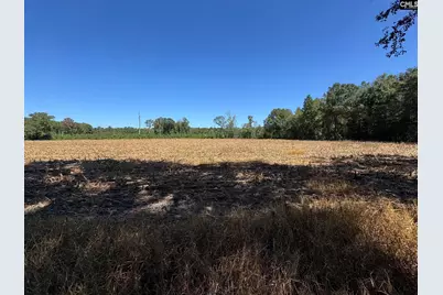 Saint Matthews Church Road, Sumter, SC 29153 - Photo 3