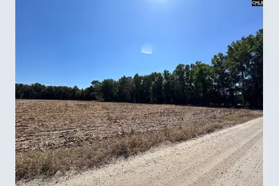 Saint Matthews Church Road, Sumter, SC 29153 - Photo 7