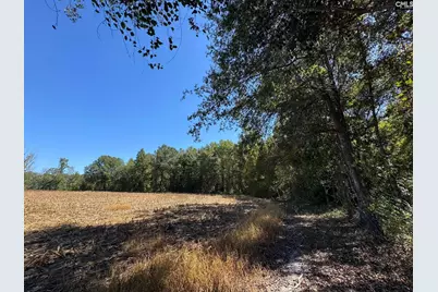 Saint Matthews Church Road, Sumter, SC 29153 - Photo 19