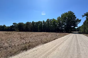 Saint Matthews Church Rd, Sumter, SC 29153 - Photo 1