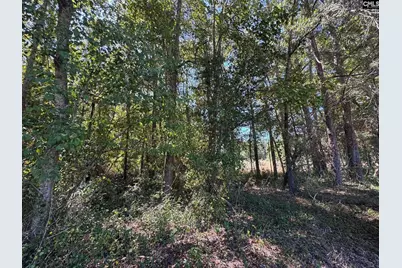 Saint Matthews Church Road, Sumter, SC 29153 - Photo 11