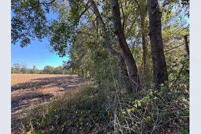Saint Matthews Church Road, Sumter, SC 29153 - Photo 17