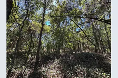 Saint Matthews Church Road, Sumter, SC 29153 - Photo 25