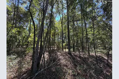 Saint Matthews Church Road, Sumter, SC 29153 - Photo 33