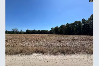 Saint Matthews Church Road, Sumter, SC 29153 - Photo 5