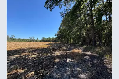 Saint Matthews Church Road, Sumter, SC 29153 - Photo 15
