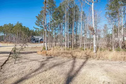 Lot 67 Stewart Landing Drive #67, Prosperity, SC 29127 - Photo 39