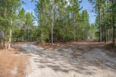 1108 Cotton Branch Road, Leesville, SC 29070 - Photo 59