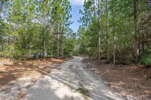 1108 Cotton Branch Rd, Leesville, SC 29070 - Photo 61