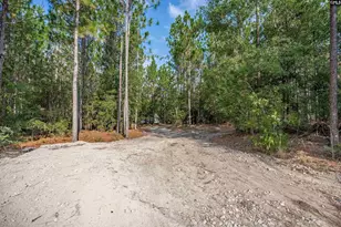 1108 Cotton Branch Rd, Leesville, SC 29070 - Photo 59