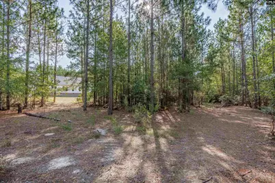 1108 Cotton Branch Road, Leesville, SC 29070 - Photo 63