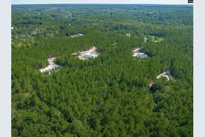 1108 Cotton Branch Road, Leesville, SC 29070 - Photo 69