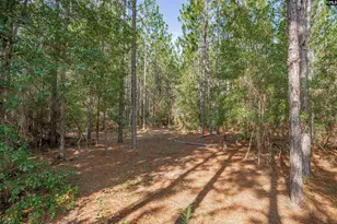 1108 Cotton Branch Rd, Leesville, SC 29070 - Photo 63
