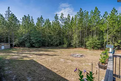 1108 Cotton Branch Road, Leesville, SC 29070 - Photo 51