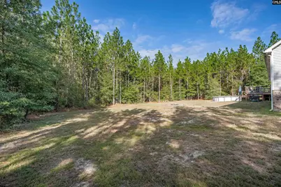 1108 Cotton Branch Road, Leesville, SC 29070 - Photo 61