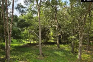 1661 Blues Ln, Edisto Island, SC 29438 - Photo 19