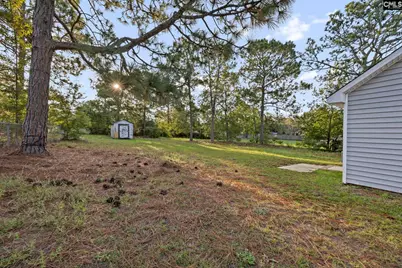 229 Transcom Court, Gaston, SC 29053 - Photo 27